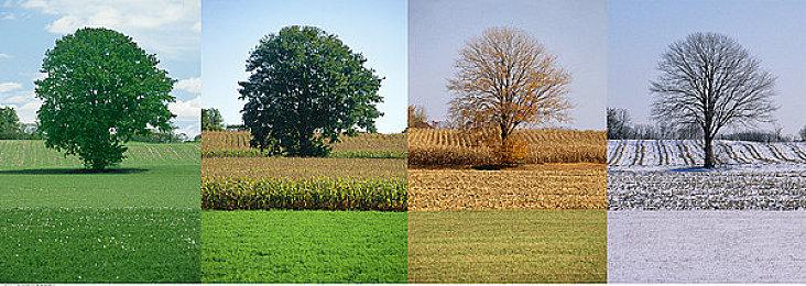 《永劫无间》新角色动画短片《赤练与冰雁》 凌霄赛季今日上线