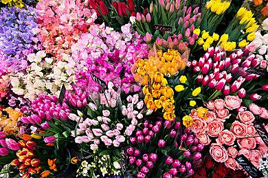 玩家发掘《艾尔登：黑夜君临》超珍稀道具线头用途 掉率感人